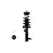 Fcs Struts COMPLETE STRUT ASSEMBLY 1333514R - alternate 1